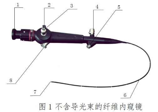 軟性纖維內(nèi)窺鏡（第二類）注冊技術(shù)指導(dǎo)原則（2017年修訂版）（2017年第40號）(圖1)