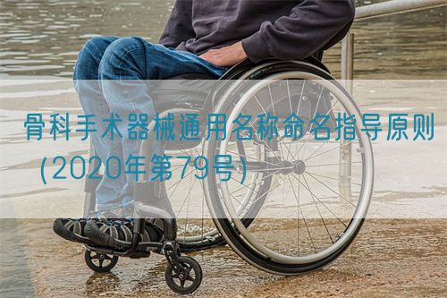 骨科手術(shù)器械通用名稱命名指導原則（2020年第79號）(圖1)