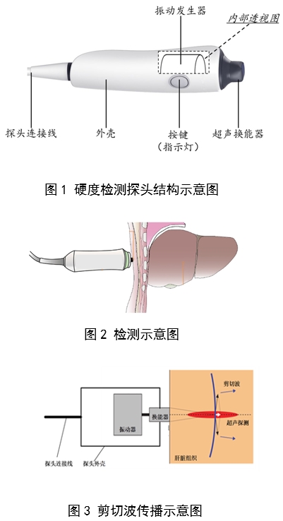 定量剪切波超聲肝臟測量儀注冊審查指導(dǎo)原則（2023年第7號(hào)）(圖2)