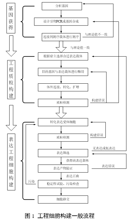 重組人源化膠原蛋白原材料評價(jià)指導(dǎo)原則（2023年第16號）(圖3)