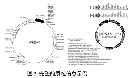重組人源化膠原蛋白原材料評價(jià)指導(dǎo)原則（2023年第16號）(圖6)