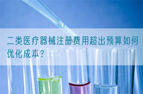 二類醫(yī)療器械注冊費用超出預算如何優(yōu)化成本？(圖1)