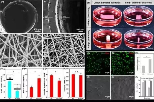 生物相容性是什么？如何準(zhǔn)備生物相容性檢測(cè)的樣品？(圖2)