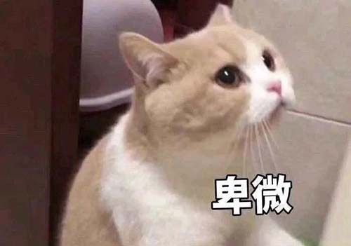 無經(jīng)驗怎么入行CRA？入行CRA的硬性條件有哪些？(圖3)