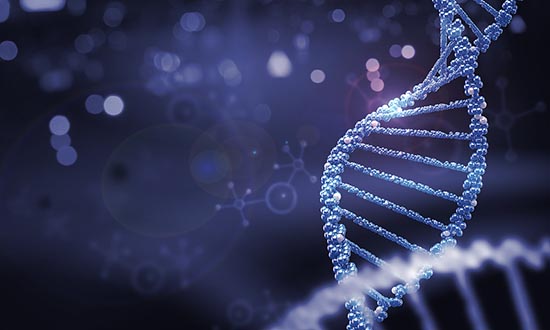 什么是Ⅰ期臨床研究？一文搞懂Ⅰ期臨床試驗(yàn)全過(guò)程(圖3)