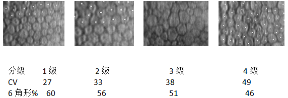 接觸鏡護(hù)理產(chǎn)品注冊技術(shù)審查指導(dǎo)原則（食藥監(jiān)辦械函[2011]116號）(圖3)