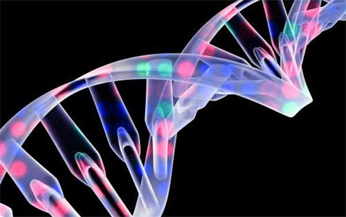 生物相容性是什么意思？怎么判斷醫(yī)療器械要做哪些生物相容性測試項目？(圖1)